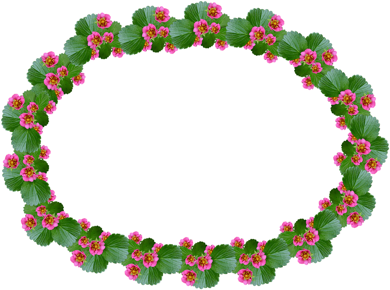 Pictures, Free Photos, Free Images Clipart (1280x955), Png Download