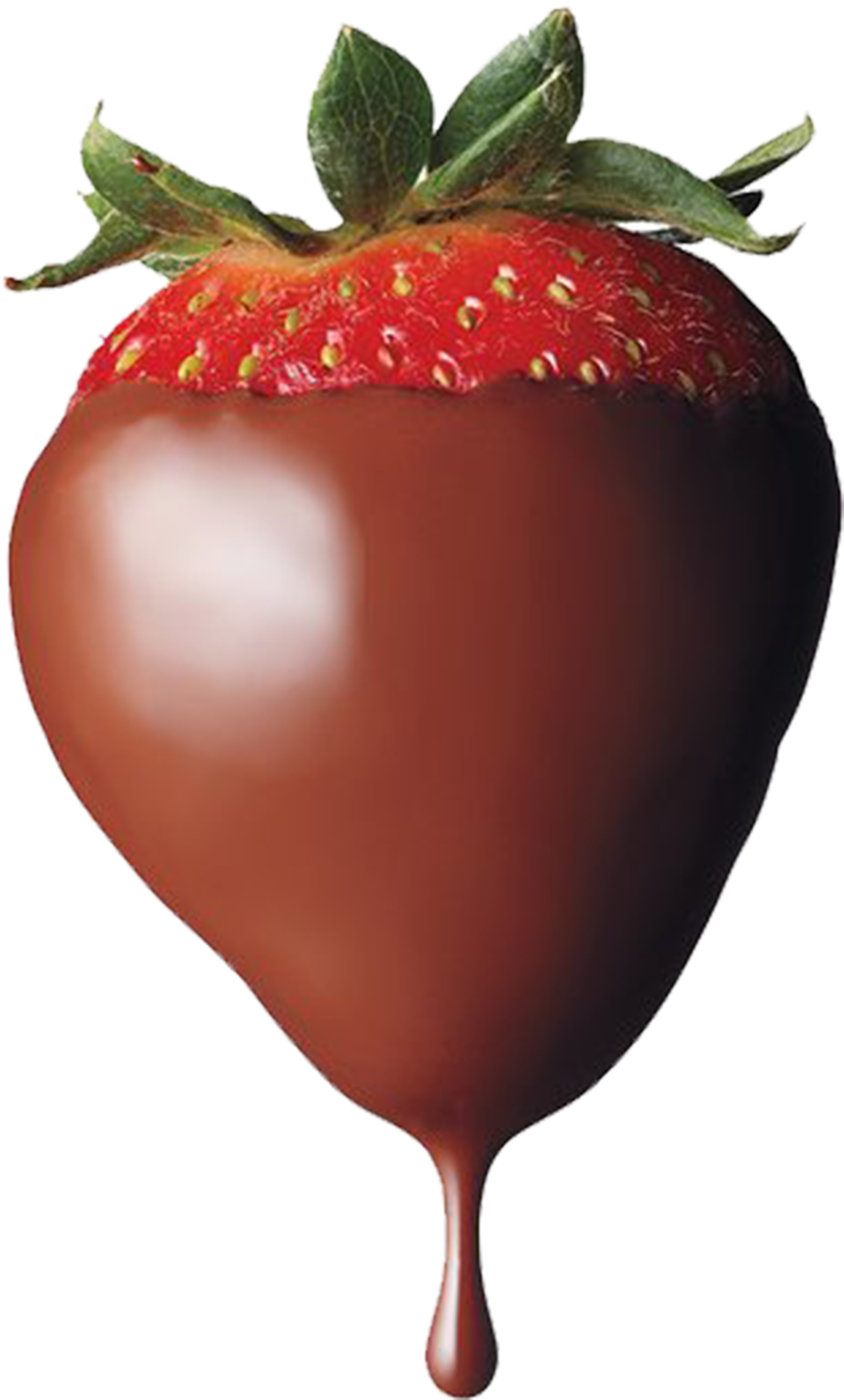 For Free Download On Mbtskoudsalg Strawberry Clipart (3501x4585), Png Download