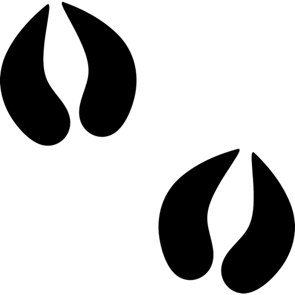 Boar Tracks Rubber Stamp Clipart (600x600), Png Download