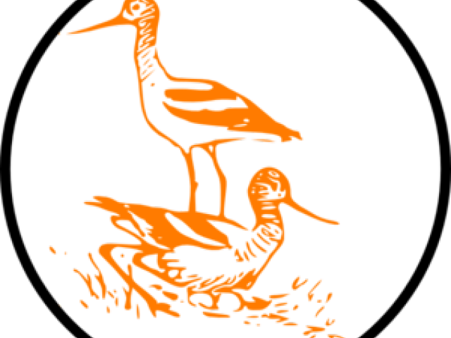 Crane Clipart Marsh - Png Download (640x480), Png Download