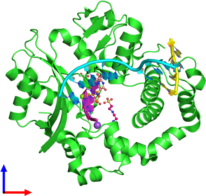 Pdb 5vzd Coloured By Chain And Viewed From The Front Clipart (800x800), Png Download