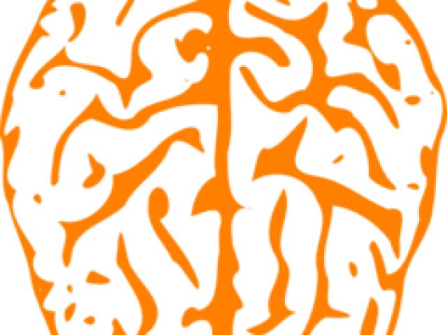 Brain Clipart Orange - Png Download (640x480), Png Download