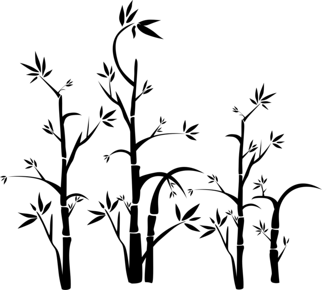 Bamboo Clipart (653x589), Png Download
