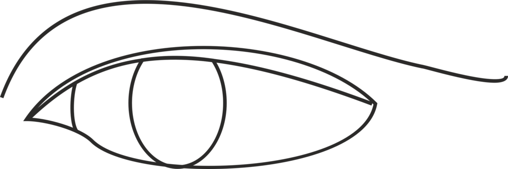 Line Art Drawing Eye Diagram Eye Line Drawing Simple Clipart Full 