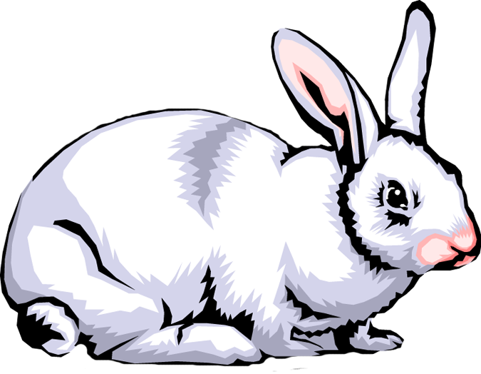 Graphic Black And White Clip Art Images Panda - Clip Art Rabbit Png Transparent Png (675x524), Png Download