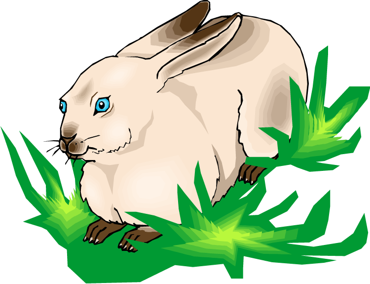 Rabbit Clipart Grass - Rabbit - Png Download (750x575), Png Download