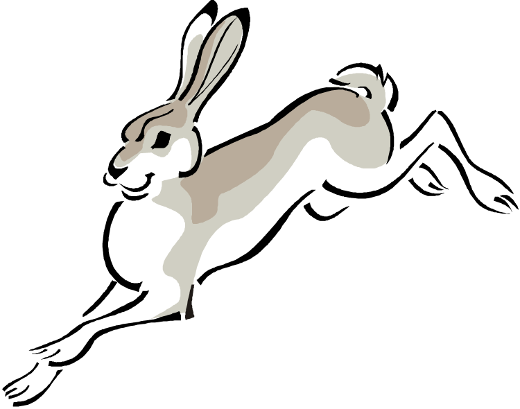 Jack Rabbit Clipart - Clip Art - Png Download (750x590), Png Download