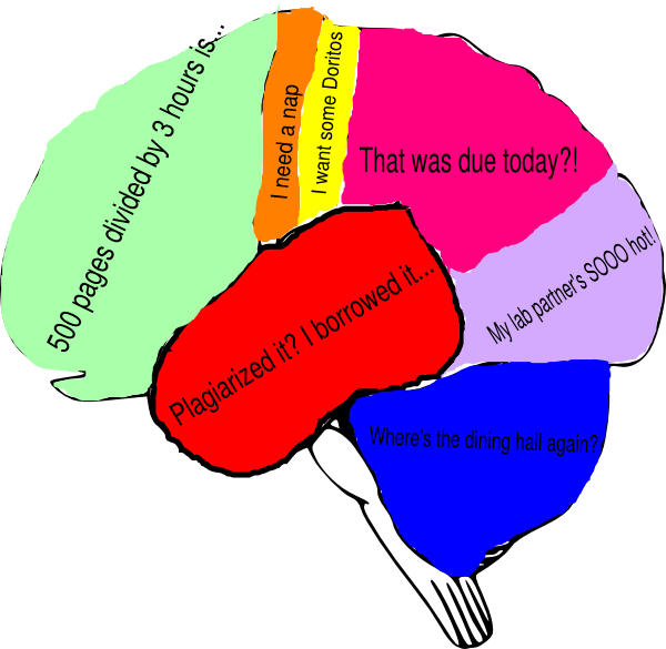 Freeuse Freshman Brain Clip Art - Clip Art Brain Diagram - Png Download (600x585), Png Download