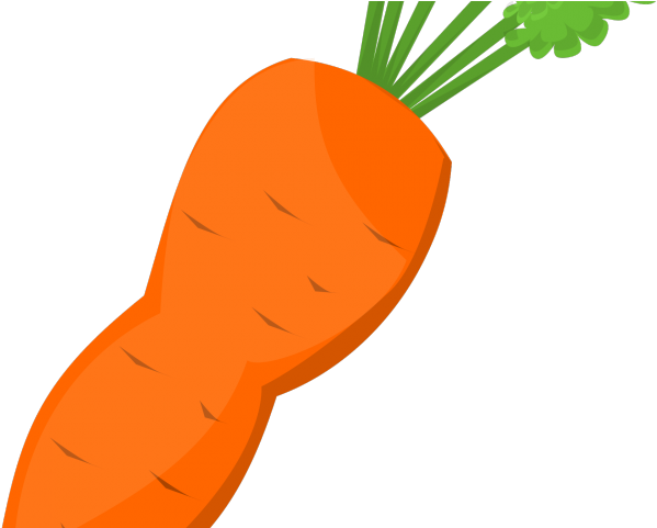 Carrot Clipart Carrot Root - Png Download (640x480), Png Download