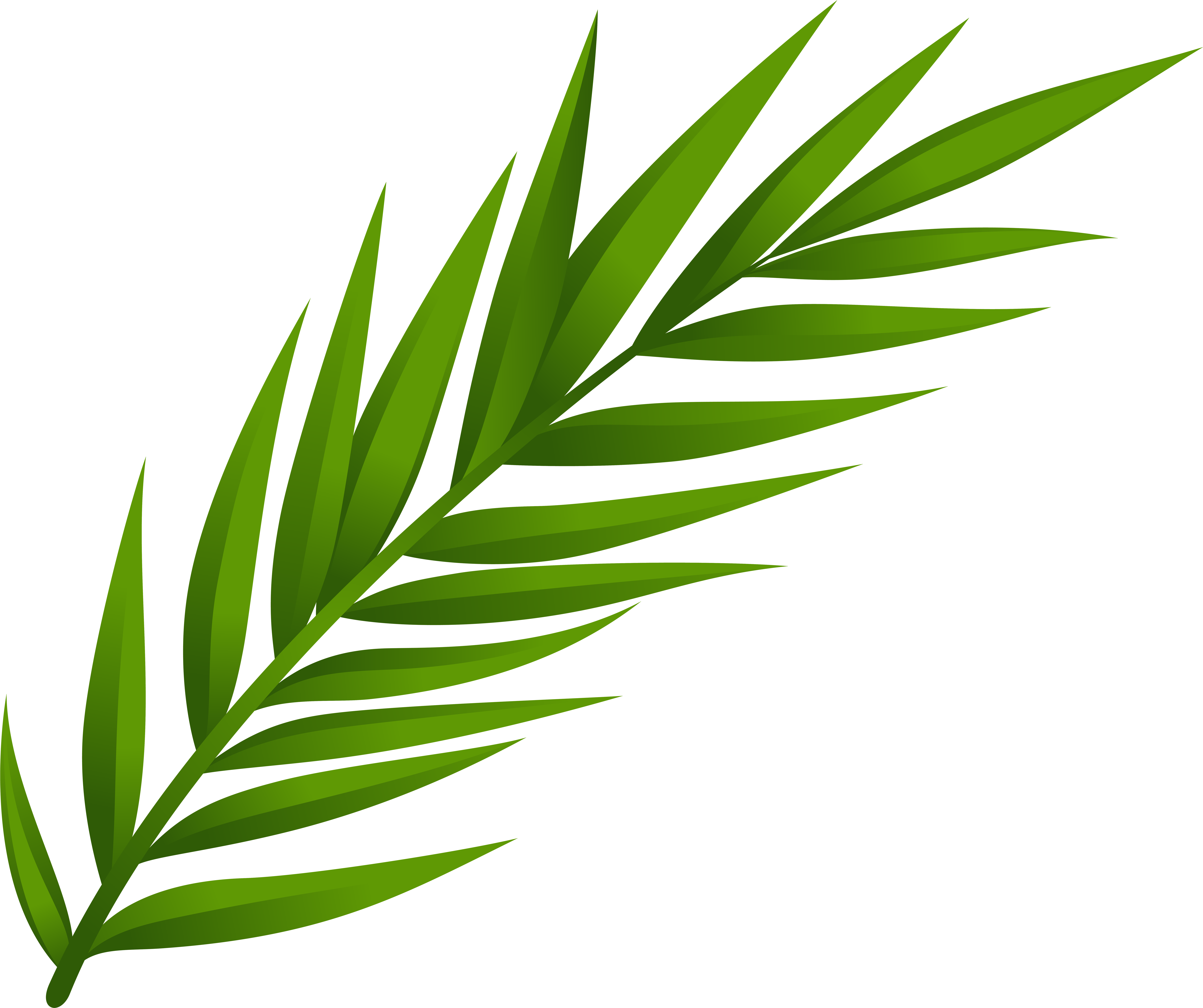 Leaf Png Clip Art Transparent Png (8000x6702), Png Download