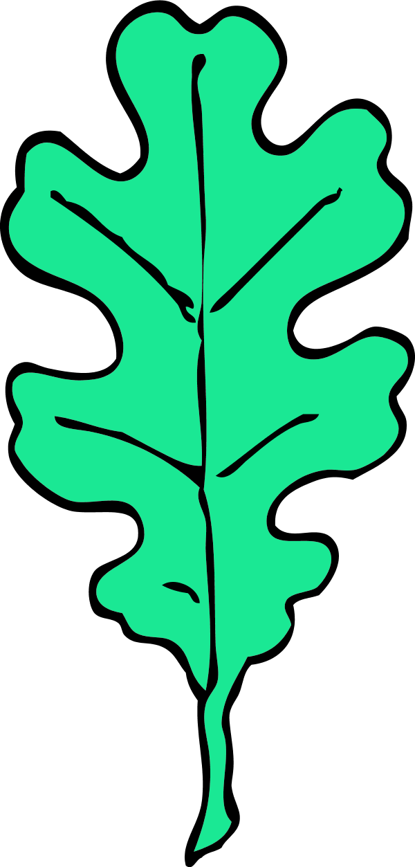 Color Variation D - Red Oak Leaf Clip Art - Png Download (600x1253), Png Download