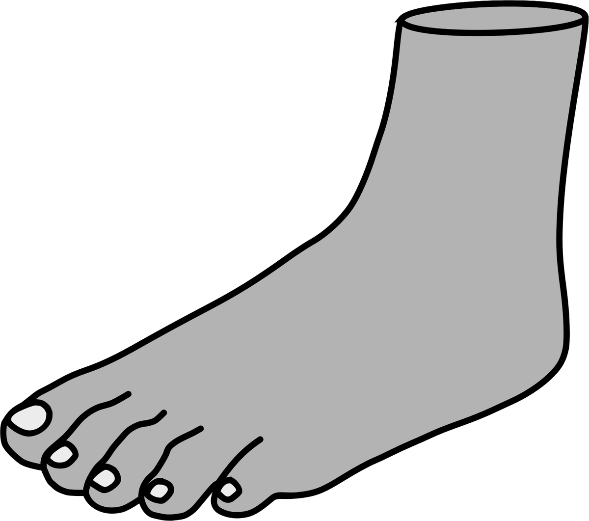 Feet In Sandals Clip Art Foot Clip Art - Clip Art - Png Download (566x800), Png Download