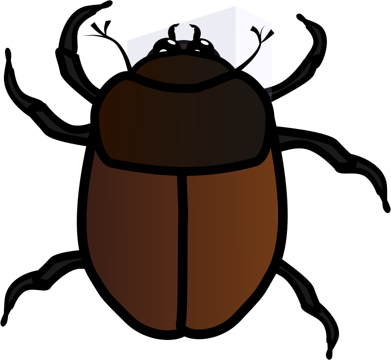 June Bug Clipart - Bug Clipart - Png Download (800x737), Png Download