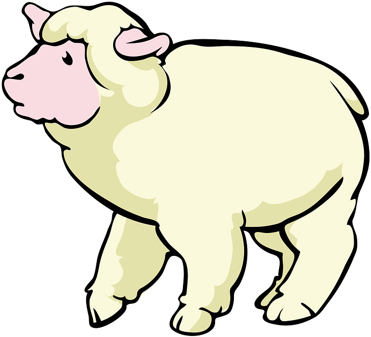 Sheep Baby Lamb Clipart Clipart Clipartix - Sheep Cartoon * .png Transparent Png (686x600), Png Download