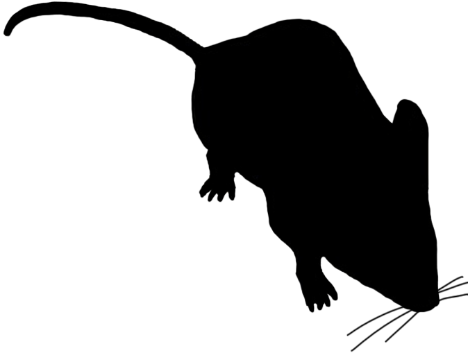 Mouse Clip Art - Mouse Silhouette Transparent Background - Png Download (709x577), Png Download