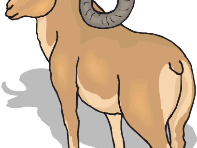 Dall Sheep Clipart Ram - Ram Animal Png Transparent Png (640x480), Png Download