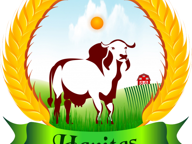 Bull Clipart Gir Cow - Cattle - Png Download (640x480), Png Download