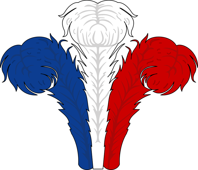 How To Set Use Feathers Svg Vector Clipart (600x514), Png Download