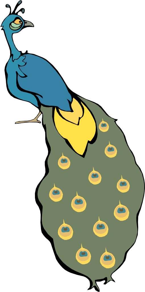 Twitter Bird Flower Cartoon Bird 14 Xochi - Cartoon Peacock Clipart (555x1114), Png Download