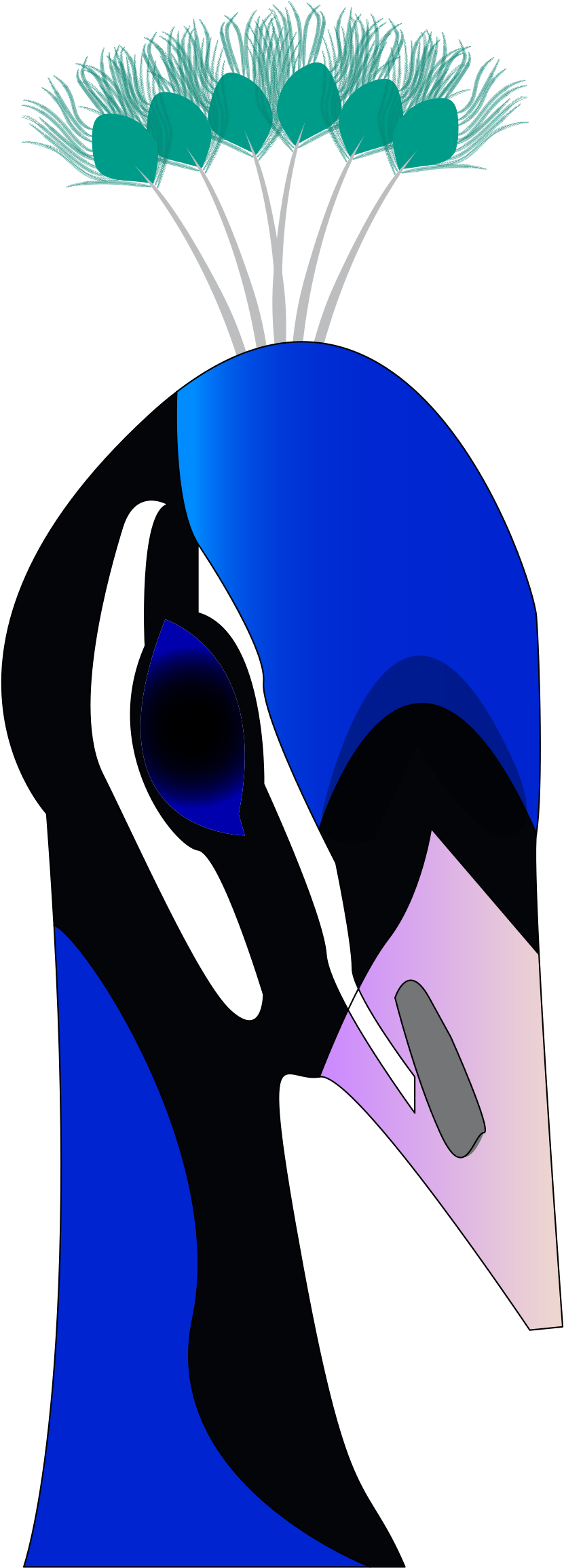 Peacock Head Feathers Cartoon Clipart (1001x2400), Png Download