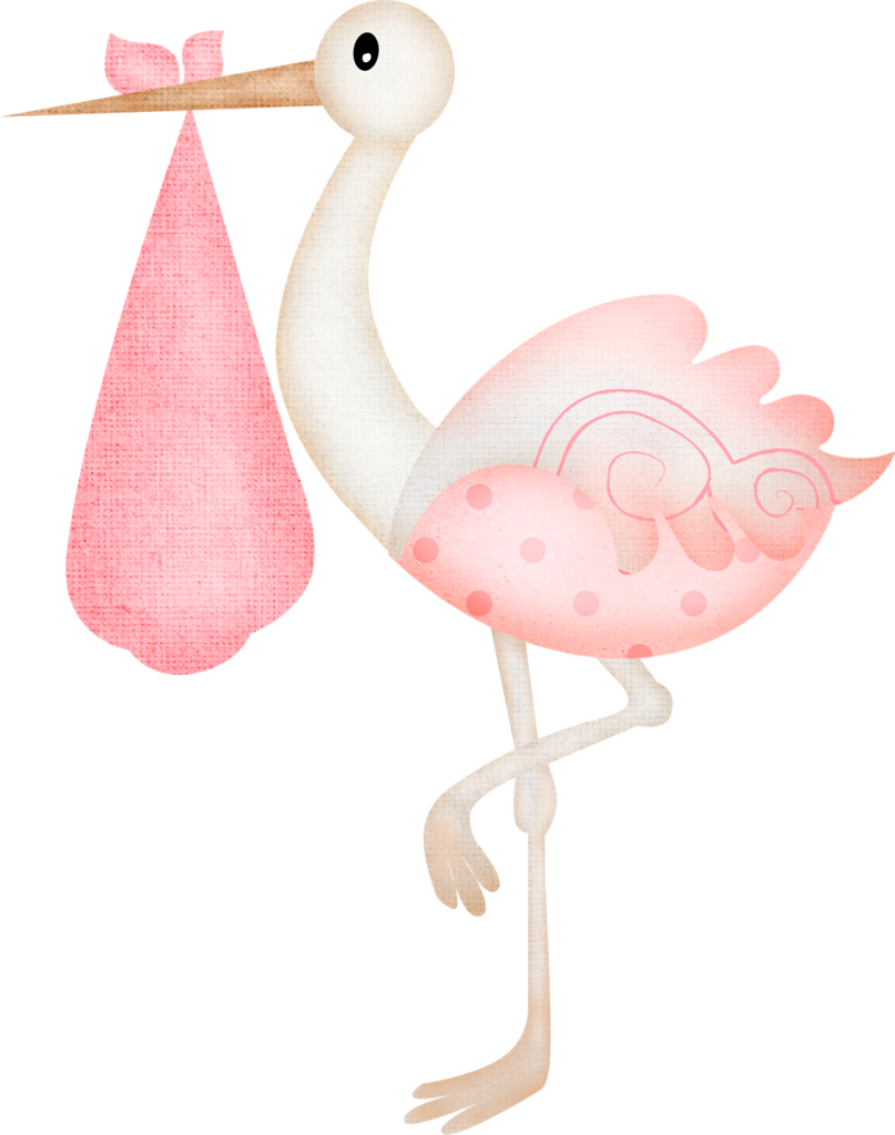 Clipart Stock Clipart Stork Carrying Baby - Stork Baby Shower Girl - Png Download (807x1024), Png Download