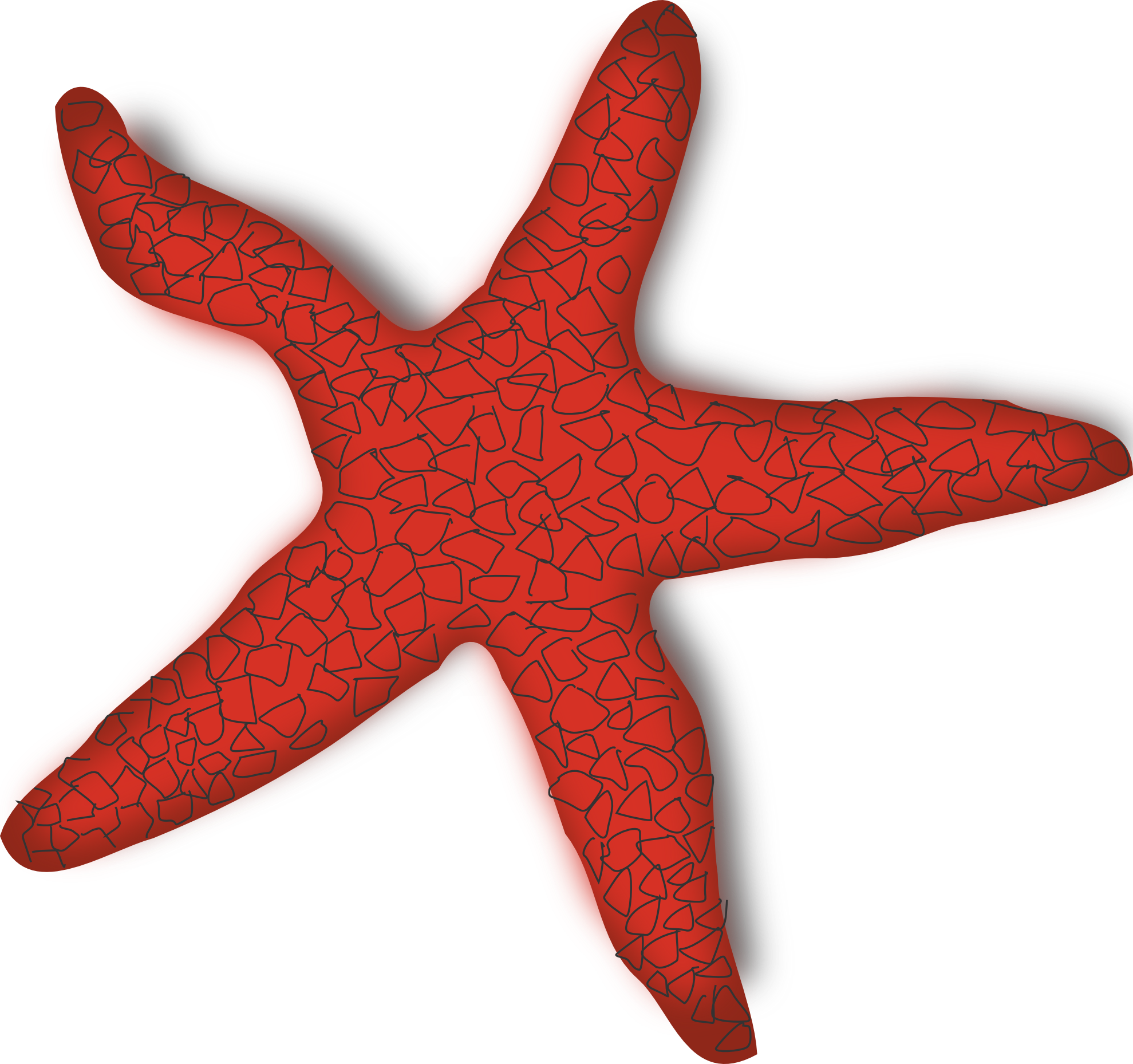 Clipart Starfish - Sea Star Clipart - Png Download (1979x1858), Png Download