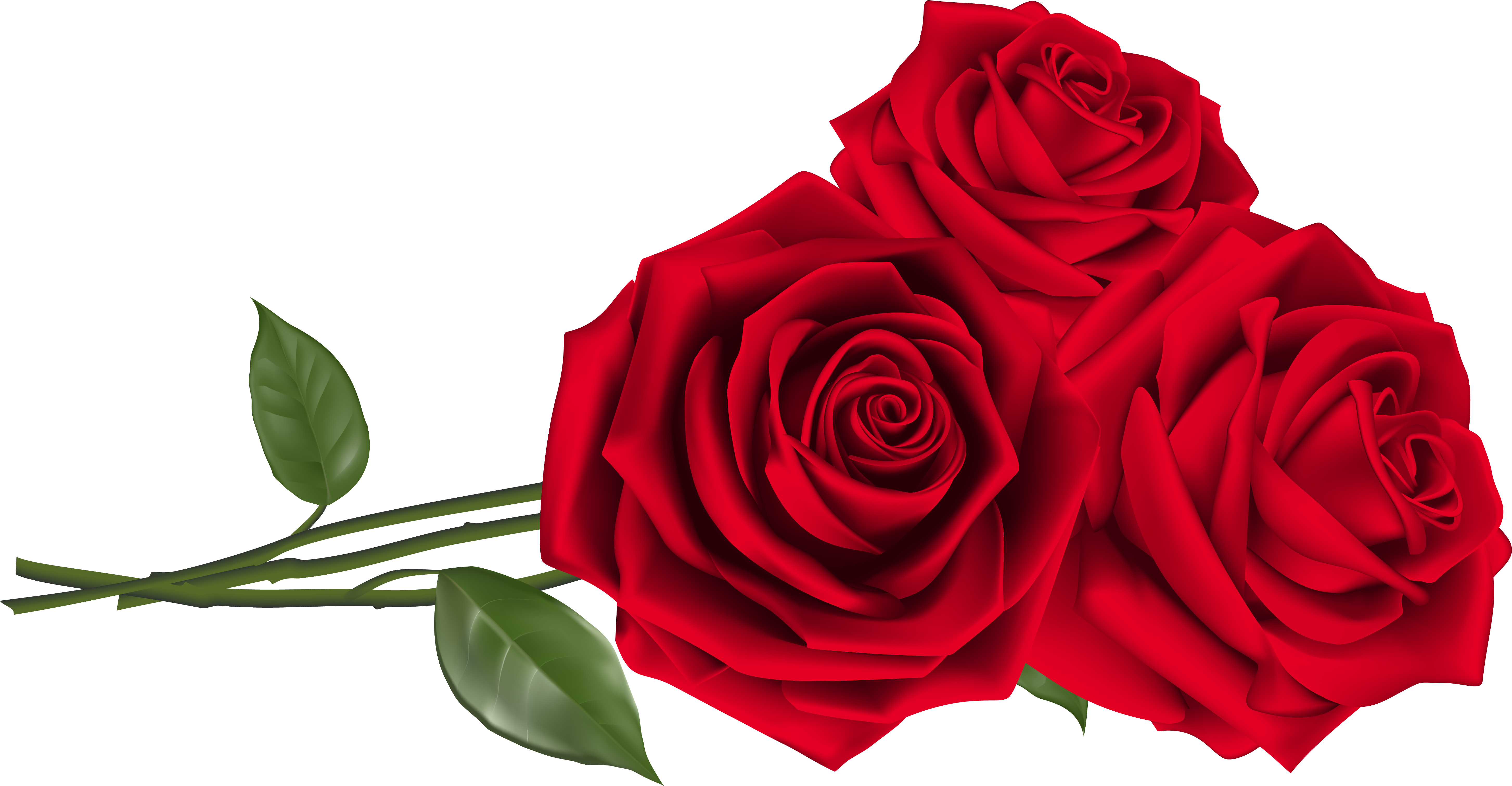 Free Valentine Gifs - Roses Png Clipart (6007x3124), Png Download