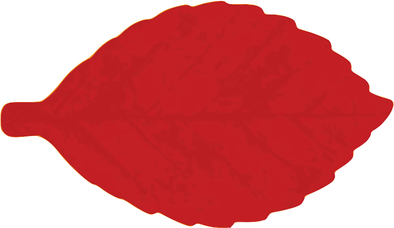 Four Leaf Clover Clipart, Vector Clip Art Online, Royalty - Clip Art - Png Download (900x551), Png Download