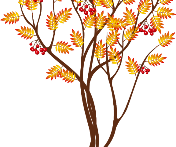 Blossom Clipart Cute Fall Tree - Береза Осень Пнг - Png Download (640x480), Png Download