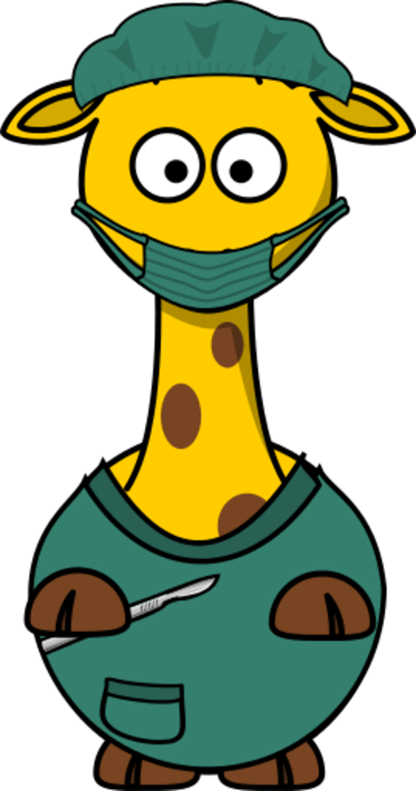 Net Clip Art Giraffe Arzt Clipartist - Giraffe Doctor - Png Download (555x1055), Png Download