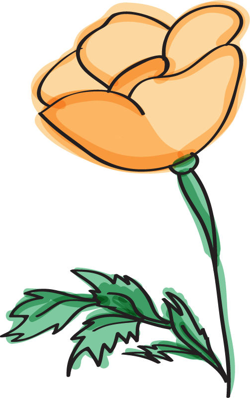 Mad Clipart Clipart - Png Download (503x801), Png Download