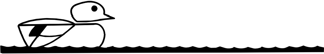 Border Bird Duck Clipart (1280x640), Png Download