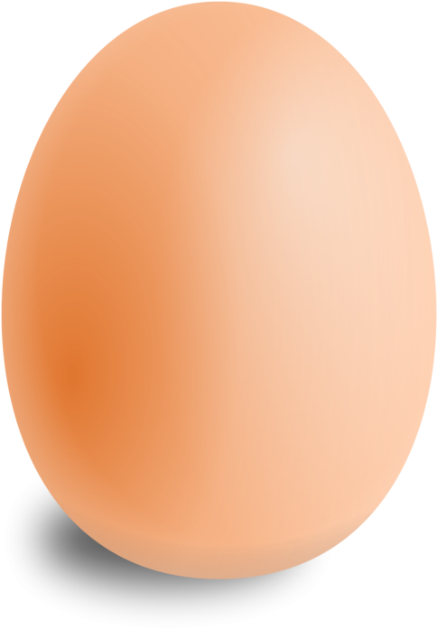 Eggs Clipart Images - Png Download (587x800), Png Download