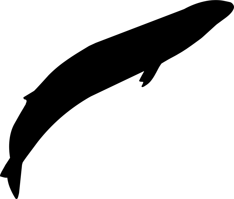 Grey Whale Shape Comments Clipart (980x832), Png Download