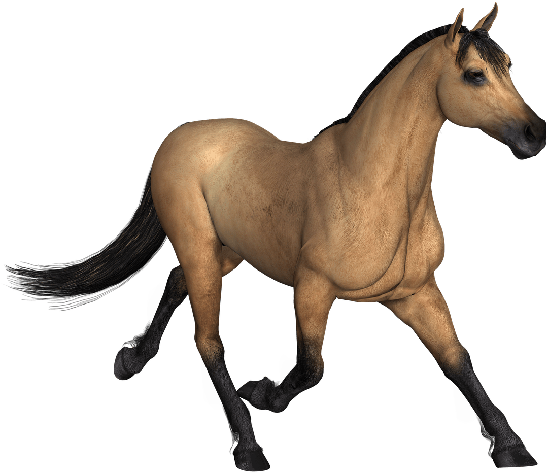 Brown Horse Running Clipart Full Size Clipart Pinclipart