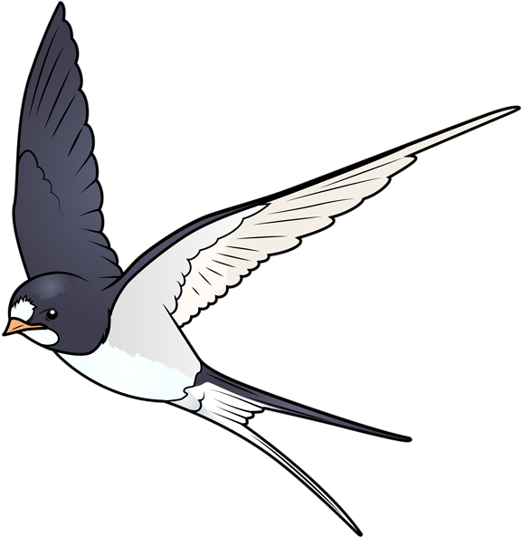 Cartoon Bird Png Transparent Image Gallery Yopriceville Clipart (582x600), Png Download