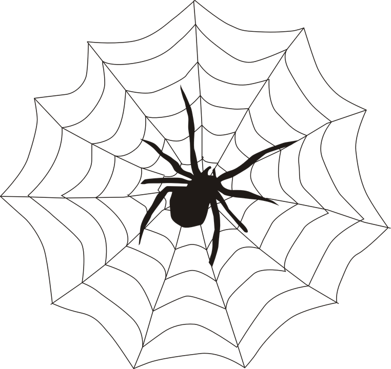 Spider Web Corner Transparent Clipart (762x720), Png Download