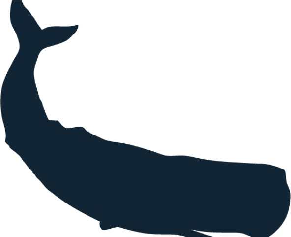 Sperm Whale Clipart Simple - Png Download (640x480), Png Download