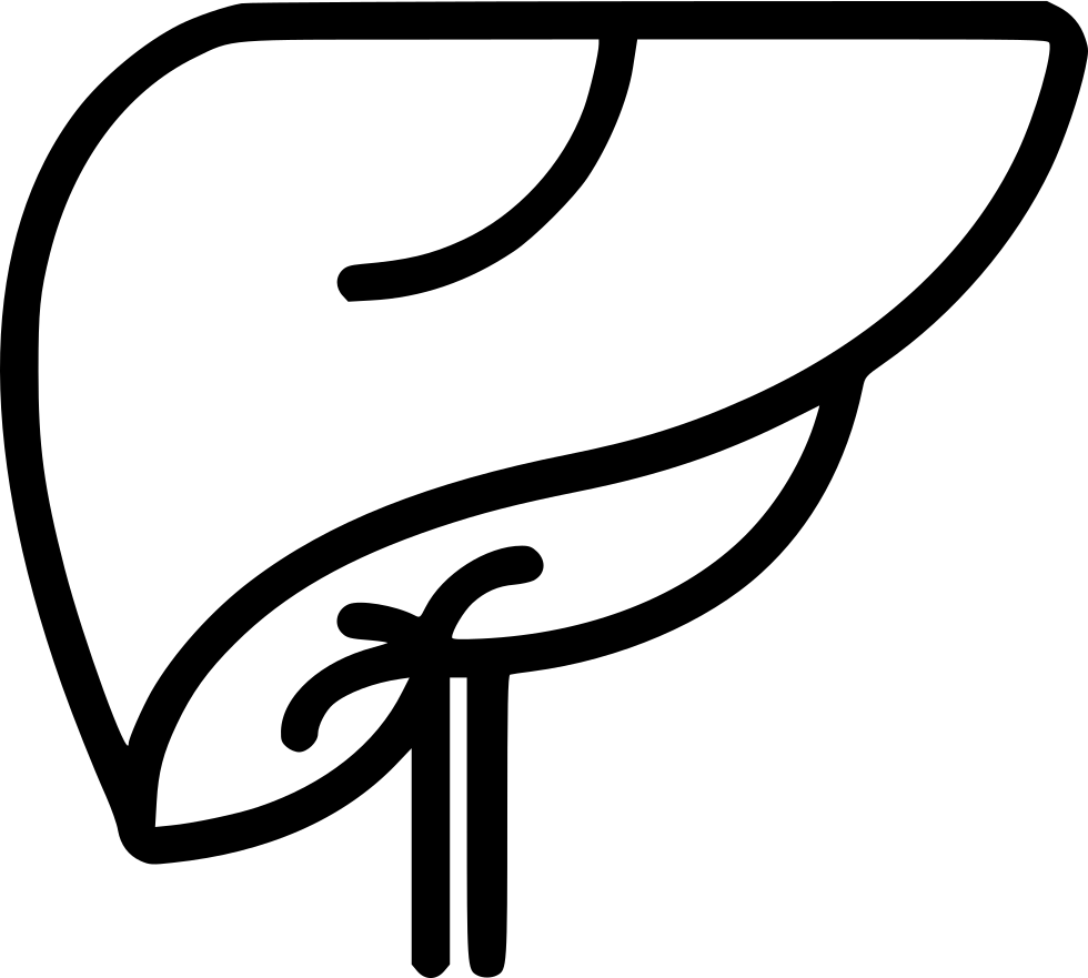 Liver Comments Clipart (980x881), Png Download