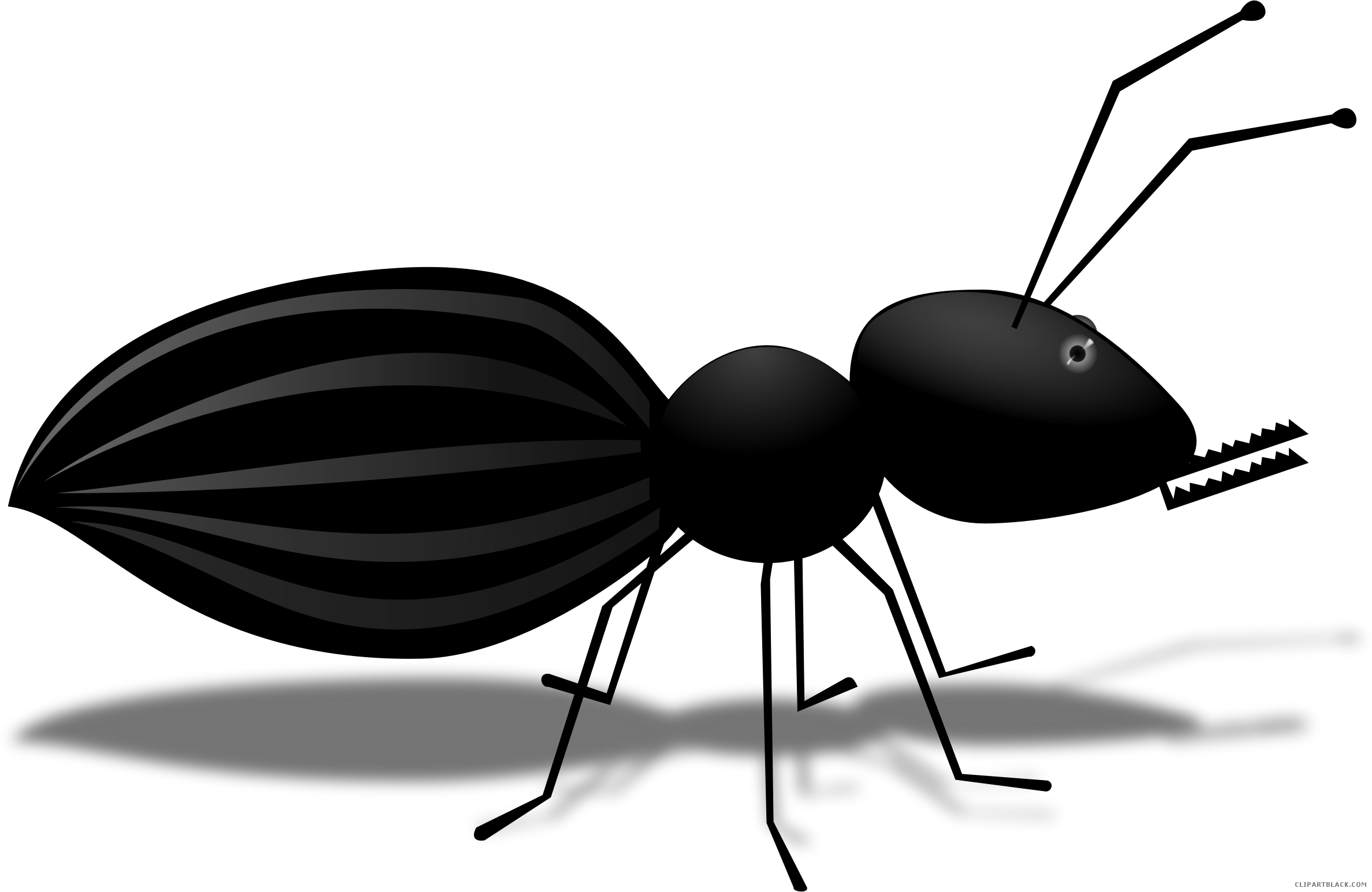Ant Cartoon Animal Free Black White Clipart Images - Png Download (2376x1546), Png Download