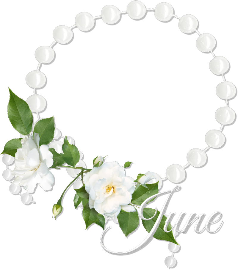 June Birthday Collection Freebie Clipart (800x904), Png Download
