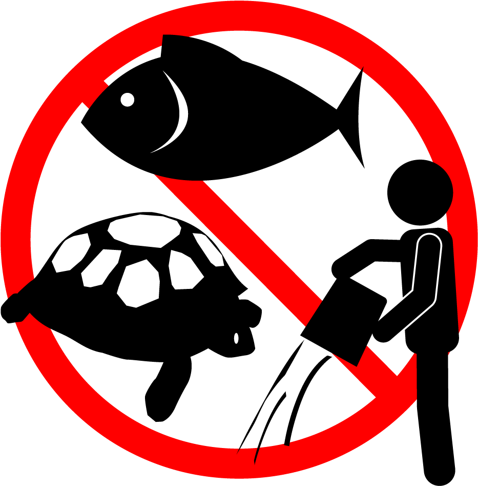 Do Not Let Pets Go To River / Pond Clipart (1000x1000), Png Download