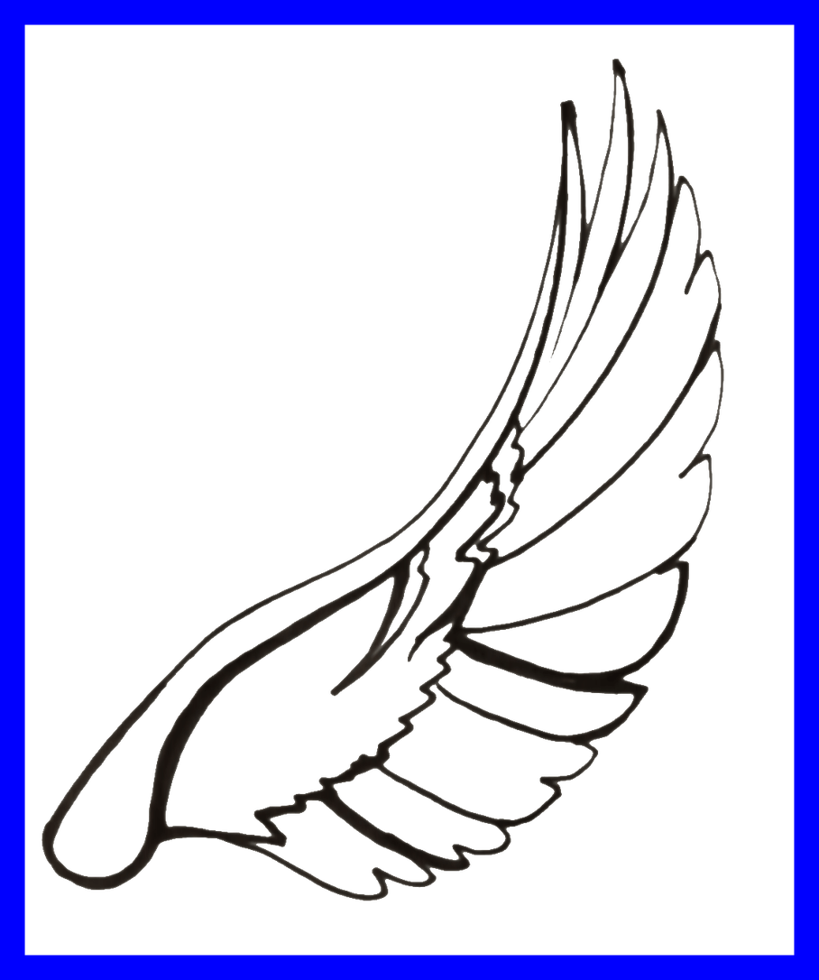 Turtle Dove Clipart Love - Png Download (908x1086), Png Download