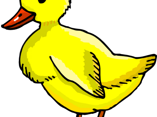 Duck Clipart Park - Png Download (640x480), Png Download
