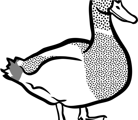 Lighhouse Clipart Duck - Png Download (640x480), Png Download