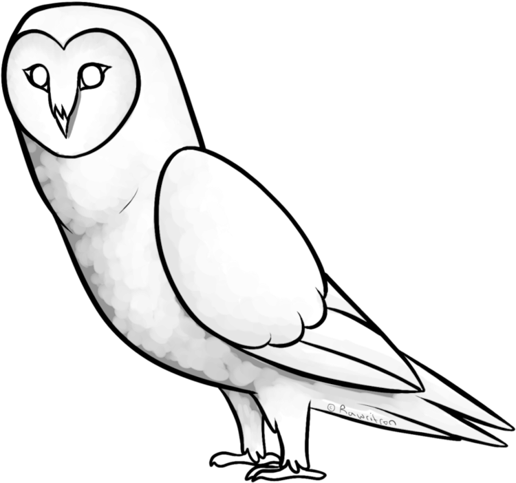 Collection Of Free Tea Drawing Owl Download Clipart (955x836), Png Download