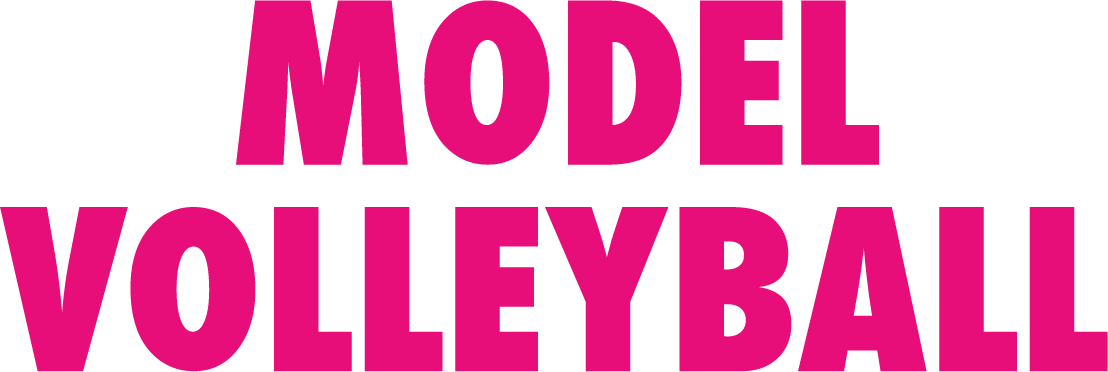 Model Volleyball Clipart (1108x372), Png Download