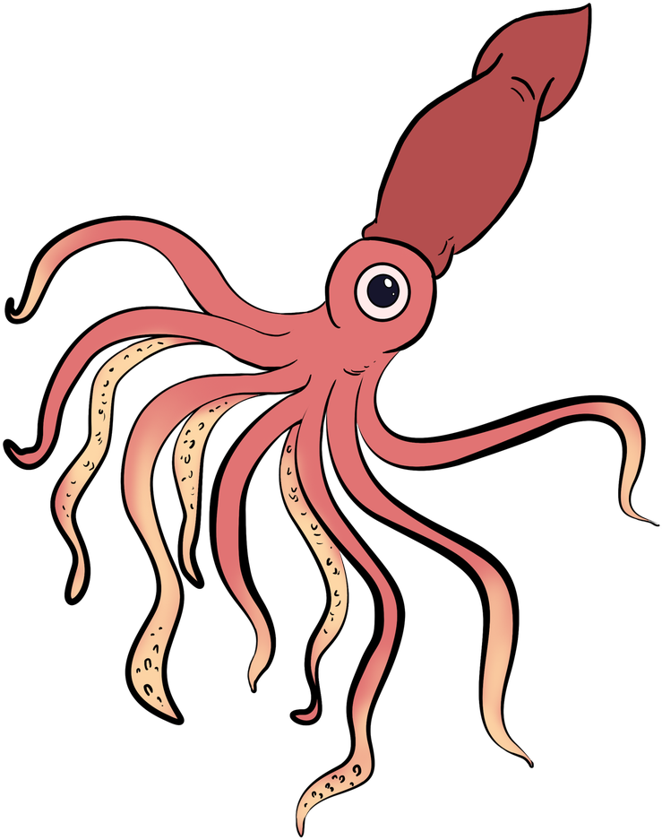 Guides On Twitter A Beautiful Squid Is Clipart (848x1200), Png Download