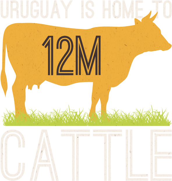 Uruguay Has 12m Cattle Clipart (800x800), Png Download