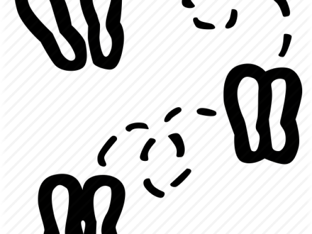 Drawn Dance Learning Clipart (640x480), Png Download